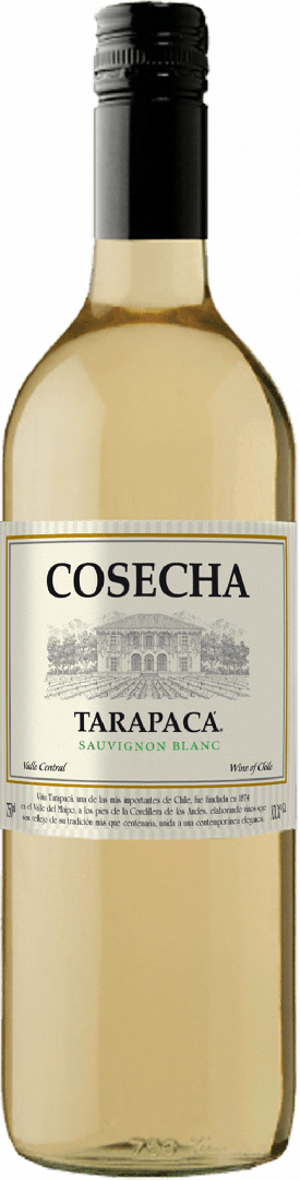 VINHO TARAPACA COSECHA SAUVIGNON BLANC