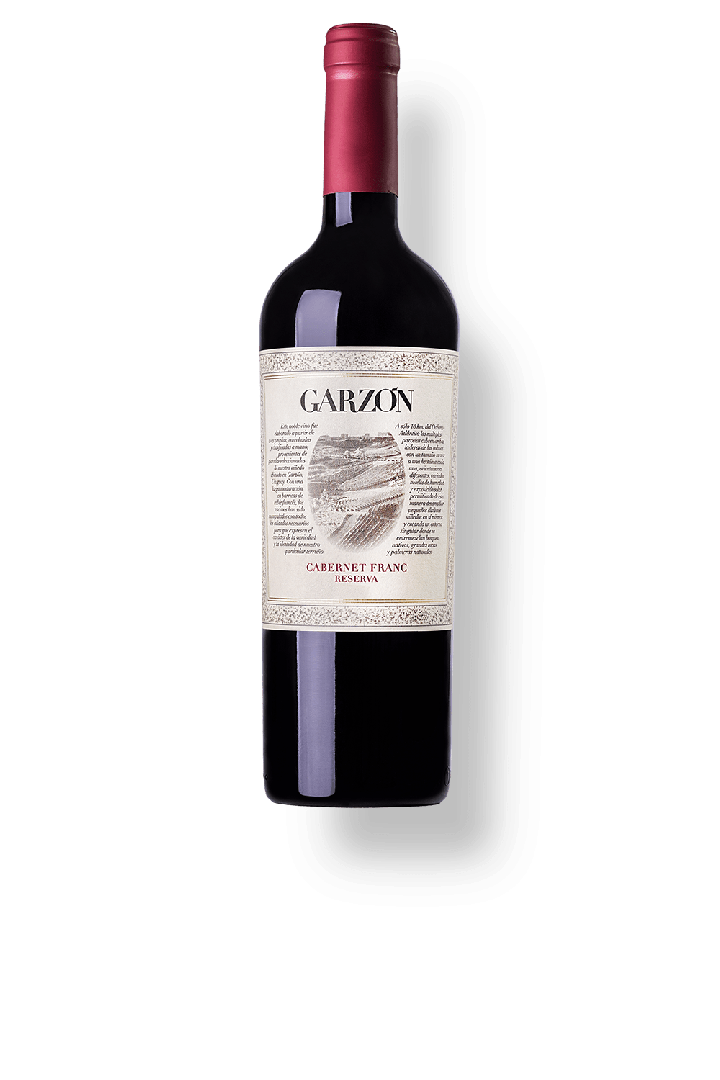 VINHO GARZON RESERVA CABERNET FRANC 